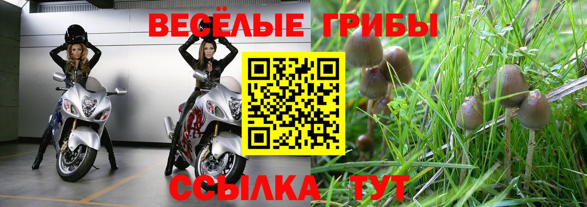 Жуковский  Галлюциногенные грибы Magic Shrooms  Вход с VPN 