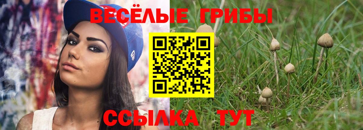 Псилоцибиновые грибы Magic Shrooms Жуковский